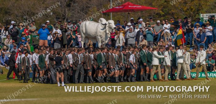 Affies vs Pretoria Boys High #0020